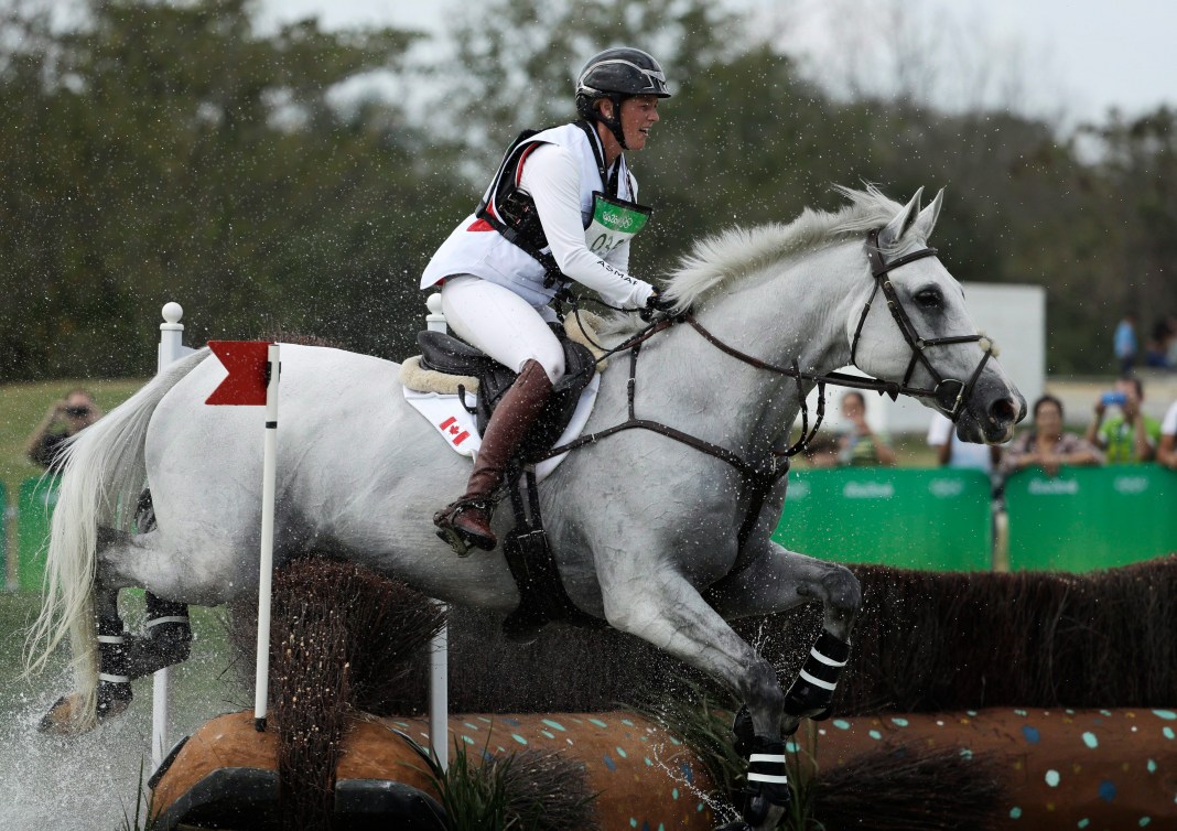 Une cavalière monte un cheval blanc.