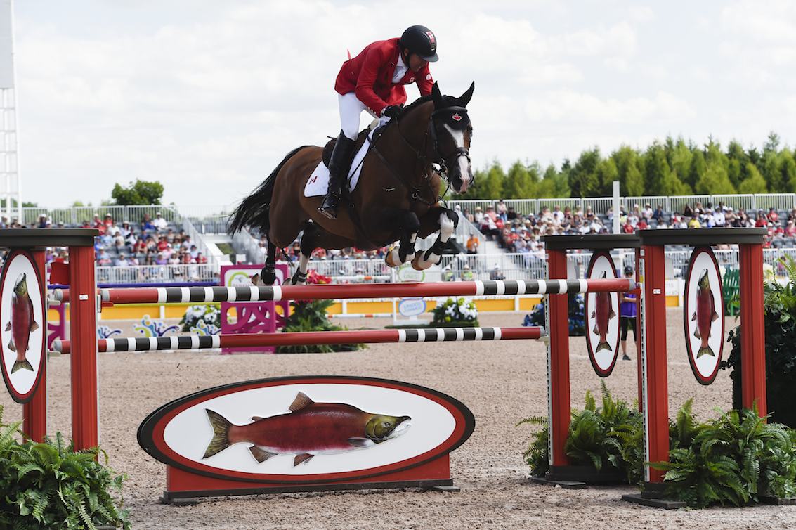 Un cavalier monte un cheval brun qui effectue un saut d'obstacles.