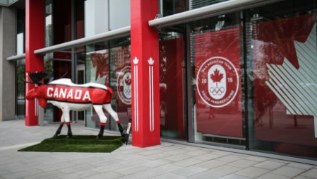 village4 L’orignal canadien en liberté (photo : Alexa Fernando)