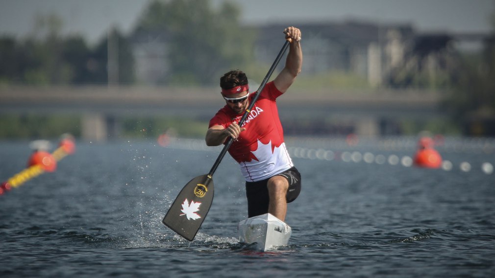 Canoëkayak Trois médaillés olympiques à la tête de l'équipe