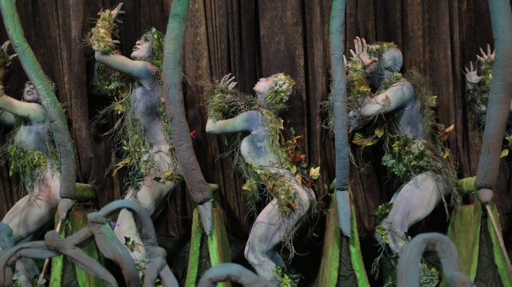 Photo : AP / Leo Correa