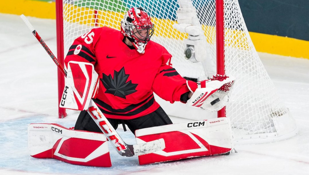 Ann-Renée Desbiens en action en hockey sur glace.