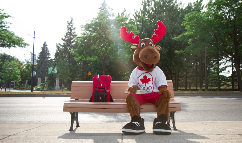 komak sits on a bench with a back pack
