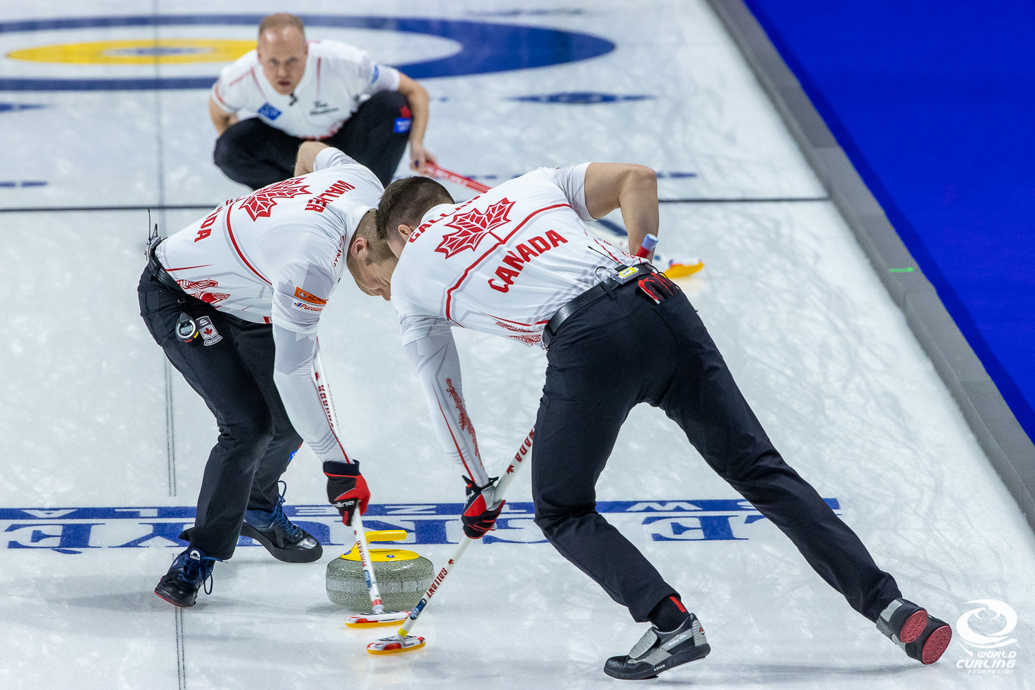 Votre guide du curling olympique [INFOGRAPHIE] Équipe Canada Site