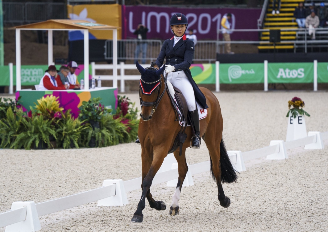 Une cavalière sur son cheval.