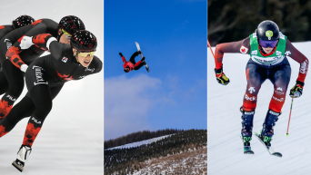 Montage photo de patinage de vitesse longue piste, snowboard et ski cross.